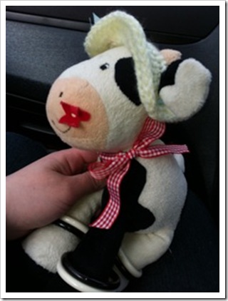 Mrs Moo Makeover (3)