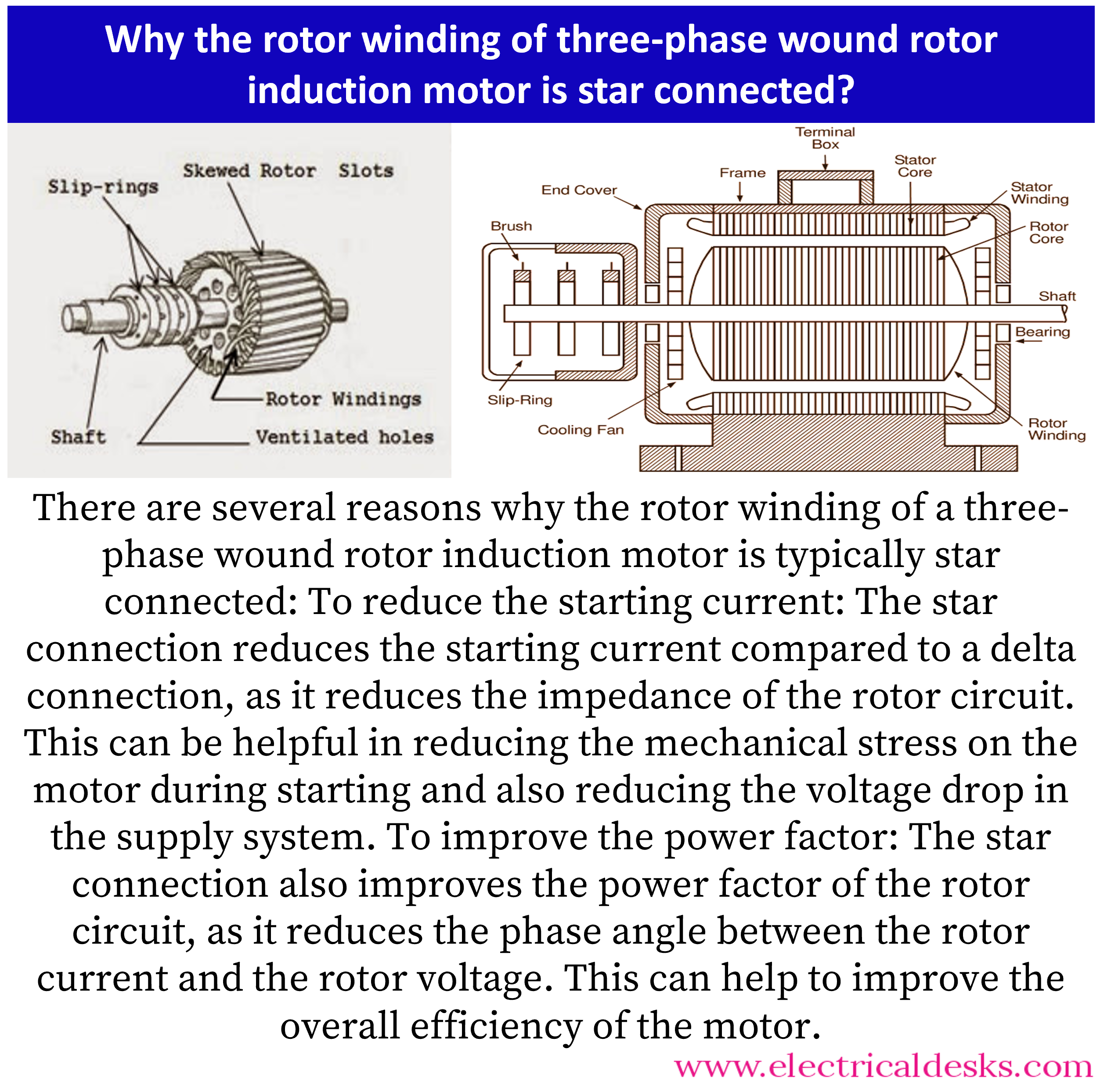 Large-Scale High-Voltage Motor, Induction Motor