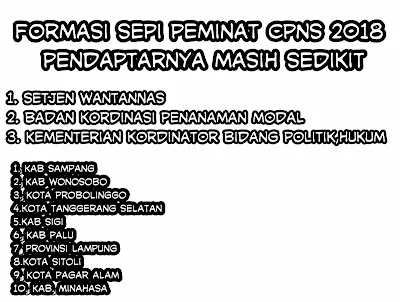 Formasi CPNS 2018 yang Masih Sepi Peminat Pendaptarnya