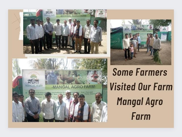 Keeping Ticket to Agro Industries