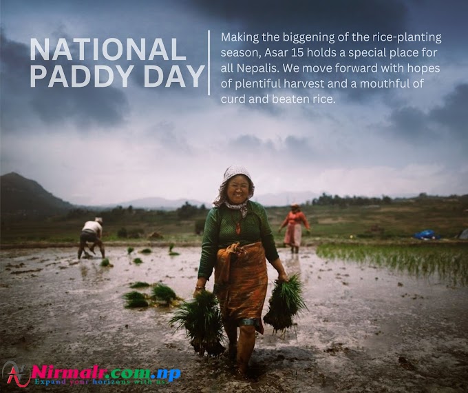 National Paddy Day in Nepal: Celebrating the Spirit of Agriculture