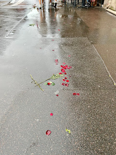 A smattering of rose petals and stems on the wet sidewalk of Paris.