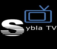 sybla_logo_ityunit