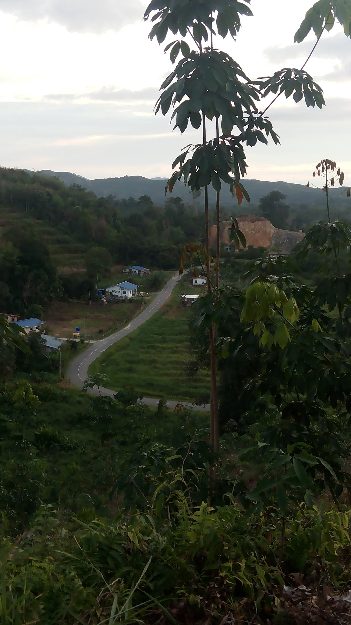 Jalan-jalan Di Kampung Mendaki Bukit