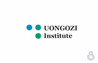 Executive Education Intern, Job Opportunity at UONGOZI Institute, Internship Opportunity
