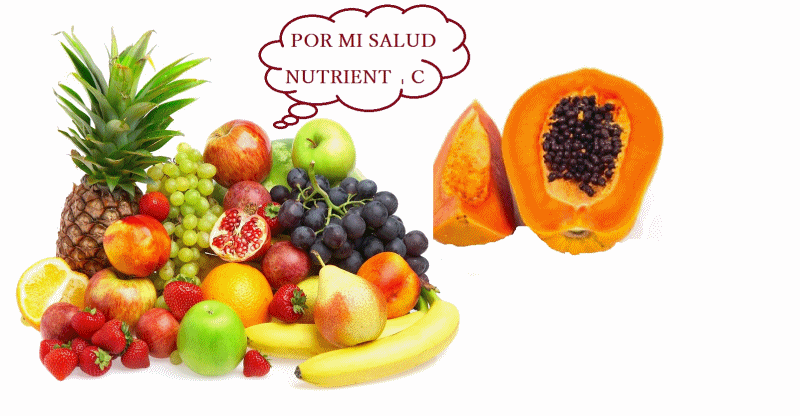 FIBRAS FRUTAS,VERDURAS SEMILLAS