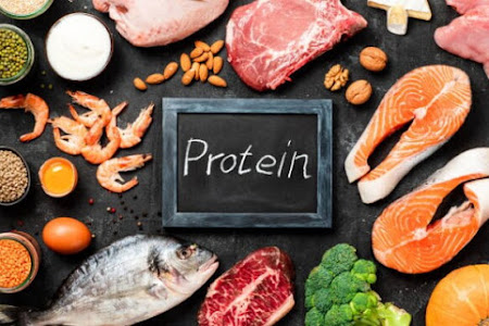 Pengertian Protein, Sumber Makanan, dan Fungsinya Bagi Tubuh