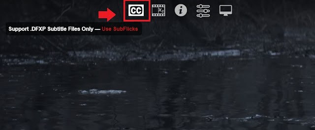 How to add subtitles to Netflix  on Chrome?