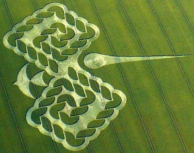 2012crop circles mayan connection. Crop Circle Reported on the