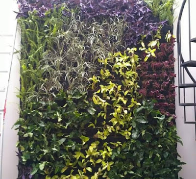 Taman Vertikal Living Wall