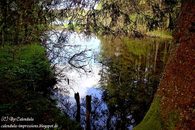 Windgfällweiher Seerundgang
