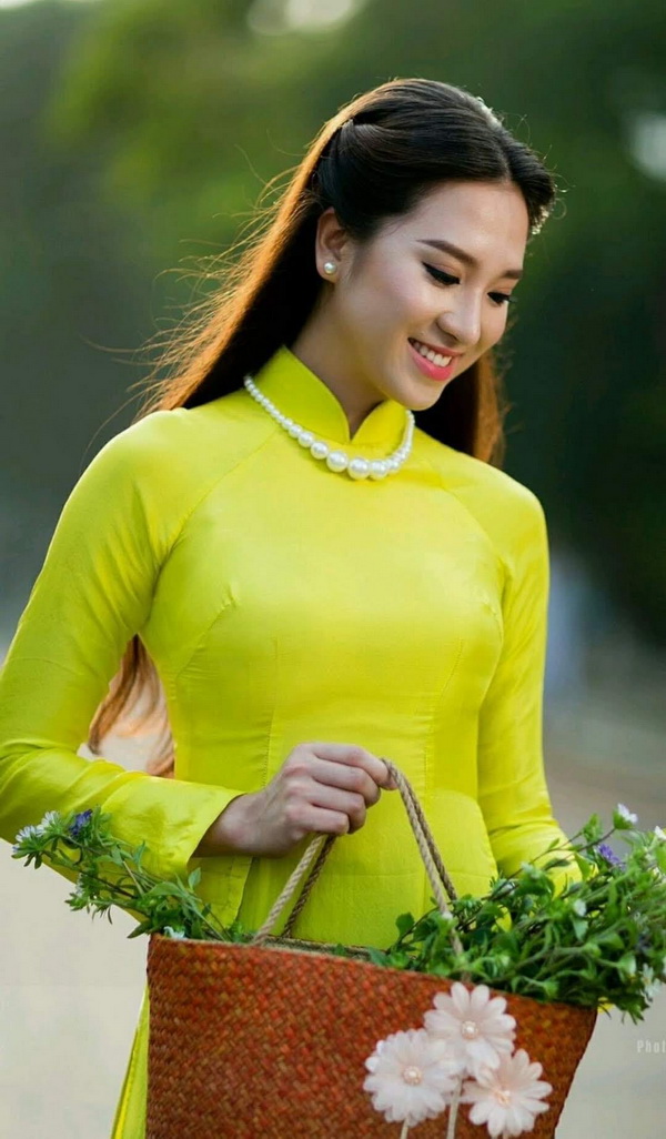 Thiếu nữ áo dài vàng, giỏ hoa