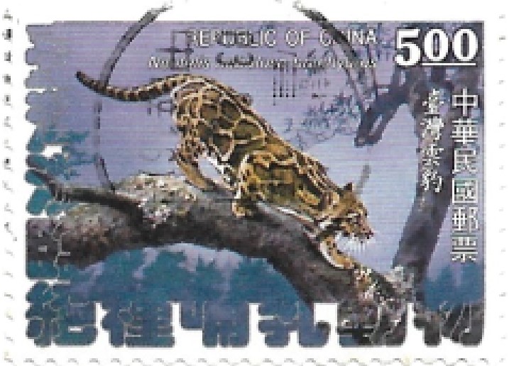 Selo Leopardo Nebuloso