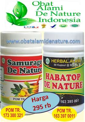 Obat asam urat alami berkhasiat