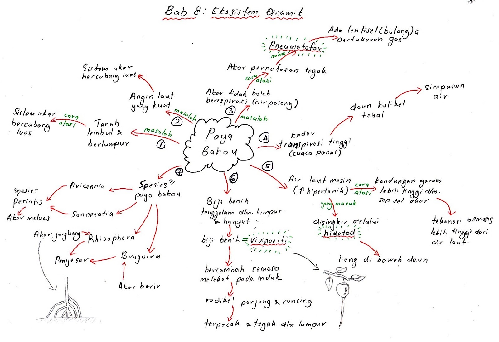 Biologi A++