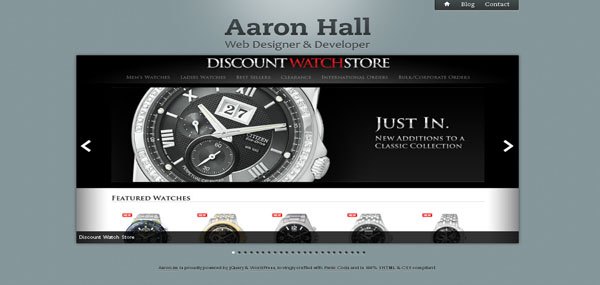 Aaron Hall web design