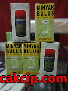 Jual Minyak Bulus Murni - Plus Asli Original Surabaya Sidoarjo