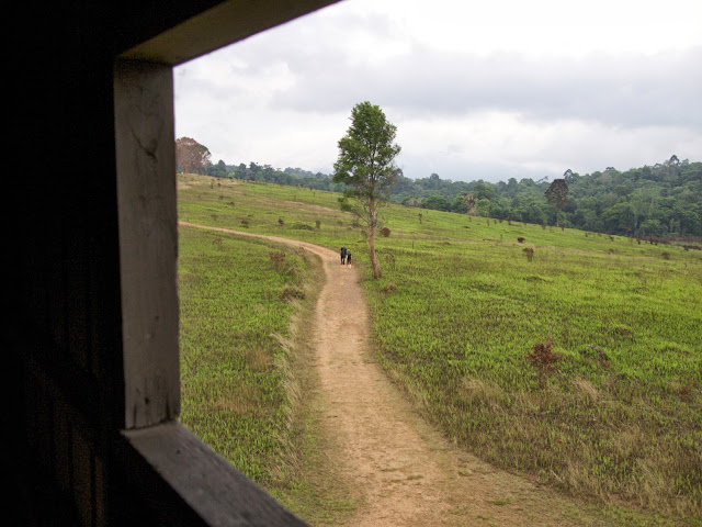 Khao Yai Nongpakchi