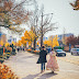 Ngắm cảnh đẹp mùa thu ở Hàn Quốc có lá vàng tuyệt đẹp