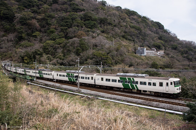 2021年3月引退 185系特急踊り子