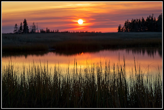 Cherry Hill Beach; Nova Scotia