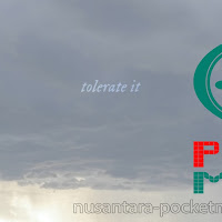 Taylor Swift - ​​tolerate it