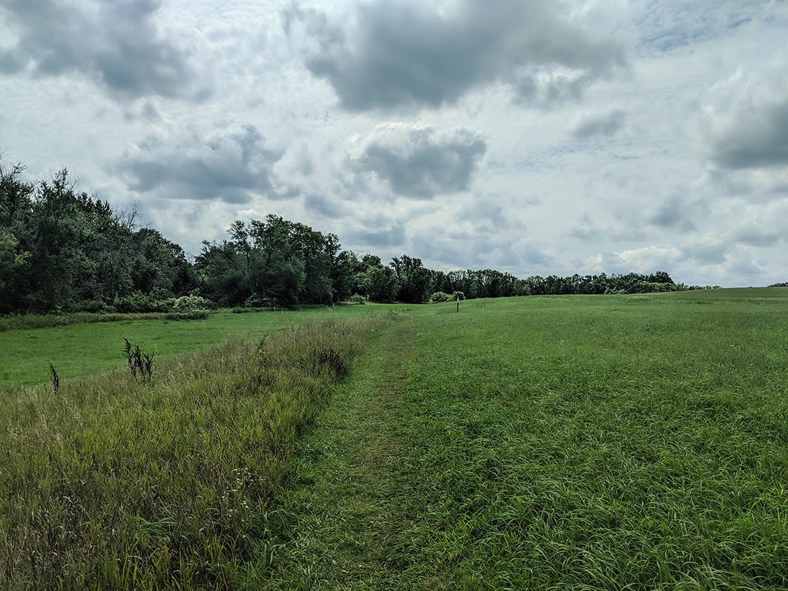 trail through field along riverbank