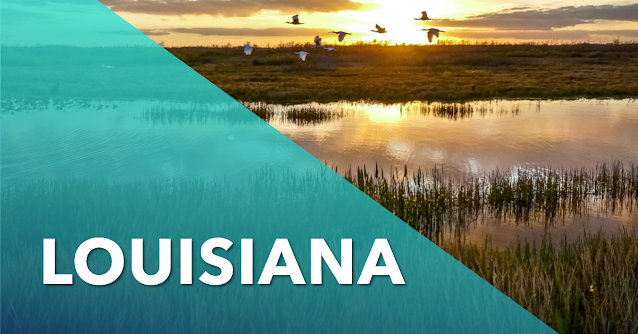 guide to pet stores, dog parks, grooming, and more in Louisiana