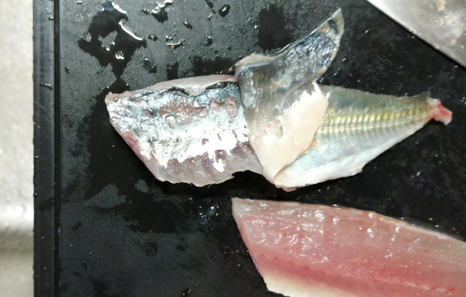 釣った魚を冷凍 刺身で安全に食べる アジ サバ イワシ 釣り小魚の冷凍解凍手順 リーぱぱのブログ