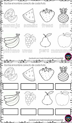 cuaderno-fichas-trabajar-proyecto-frutas