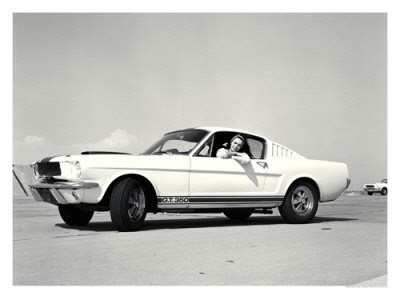 Shelby Mustang GT350 Best Wallpaper