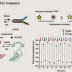 DNA computing becomes future bright and shine