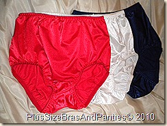 carnation full panty american pack