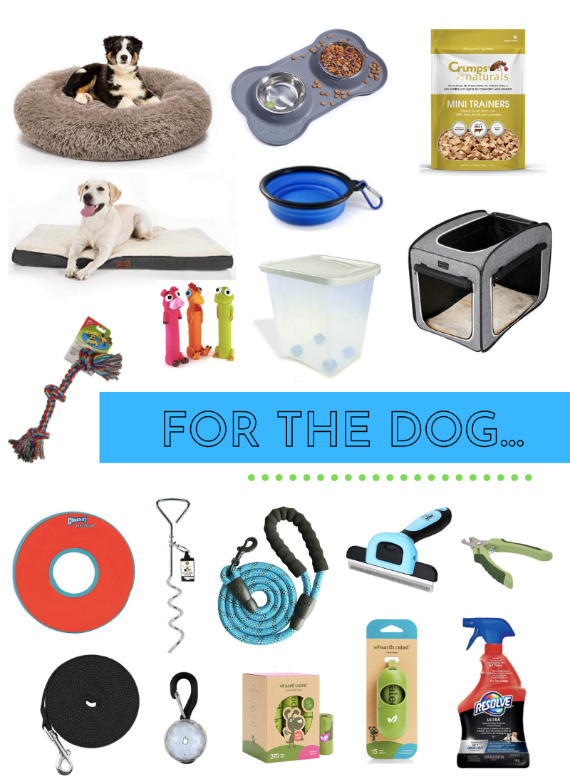 Favourite Amazon Finds for Pets