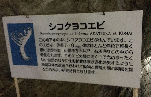 秋吉台の穴場の鍾乳洞？一人ではちょっと怖い大正洞【y】