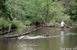 white river fishing, michigan, river fishing