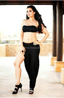 Amisha, patel, hot, navel, photos