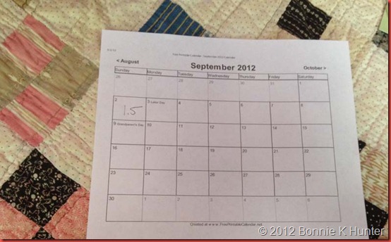sewingmonth 001