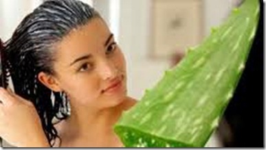 Productos para el Cabello con Aloe Vera3