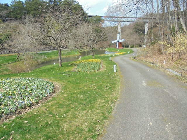 とっとり花回廊の花の谷