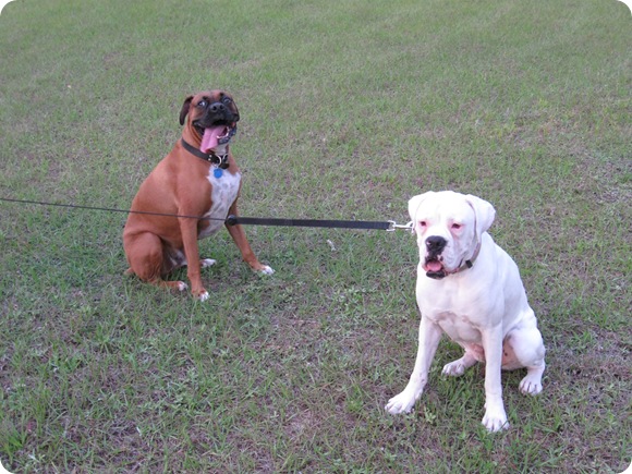 Jaz and Clyde