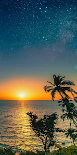 Wallpaper Sunset, Sea, Beach, Tropical, Night, Palm Tree, Stars