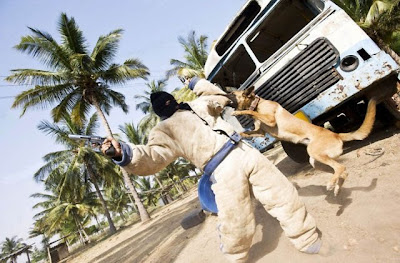 Canine Commandos Being Trained Seen On www.coolpicturegallery.us