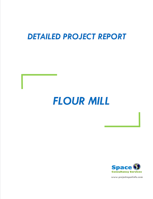 Project Report on Flour Mill