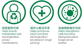 phyto chloropyll