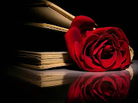 rose photos wallpaper, dark rose image with a book to make your mobile background more beautiful
