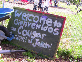 Cougar Garden, a local community garden located at Jackson Elementary school in Salt Lake City, Utah. 