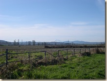 Ranier in Spring