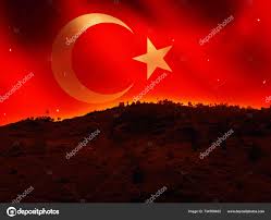 "The Great Turkish War: A Turning Point in European Unity and Identity"