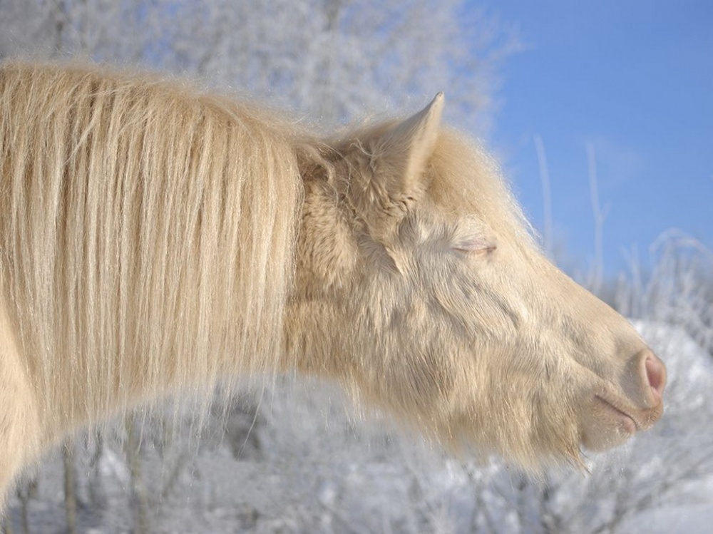 30 best national geographic pictures for the year